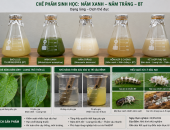 Giải Pháp Sinh Học Trong Nông Nghiệp: Xu Hướng Sử Dụng Nấm Xanh – Nấm Trắng – BT Để Giảm Thuốc Hóa Học
