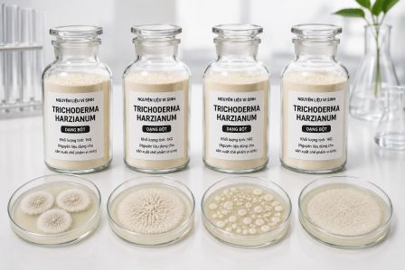 CUNG CẤP NGUYÊN LIỆU TRICHODERMA HARZIANUM