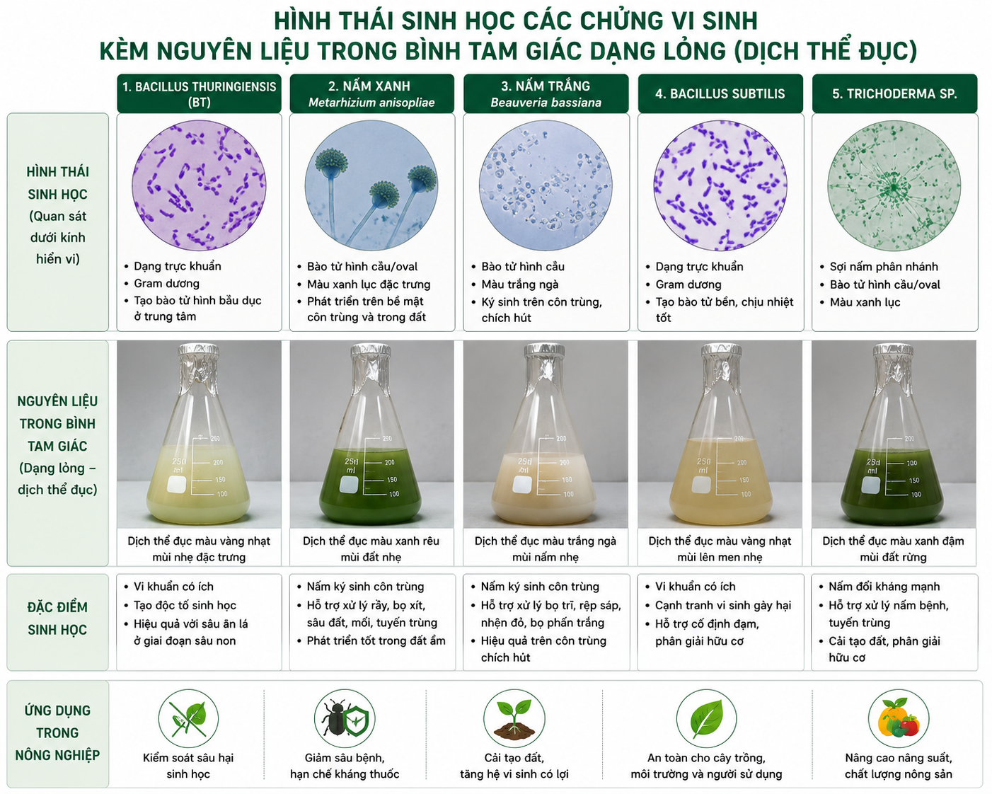 Giải Pháp Sinh Học Hiệu Quả Cho Nông Nghiệp Hữu Cơ
